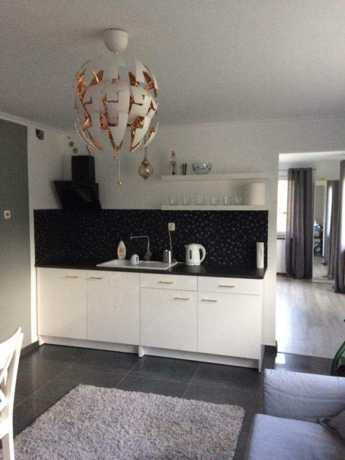 Apartamenty I Pokoje U Staszelow Poronin Dış mekan fotoğraf