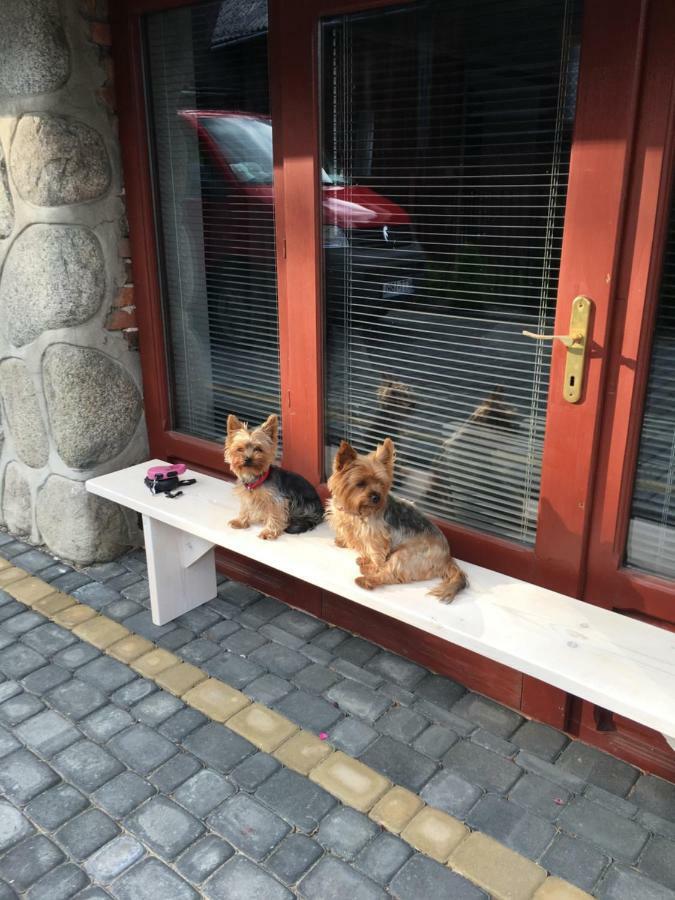 Apartamenty I Pokoje U Staszelow Poronin Dış mekan fotoğraf